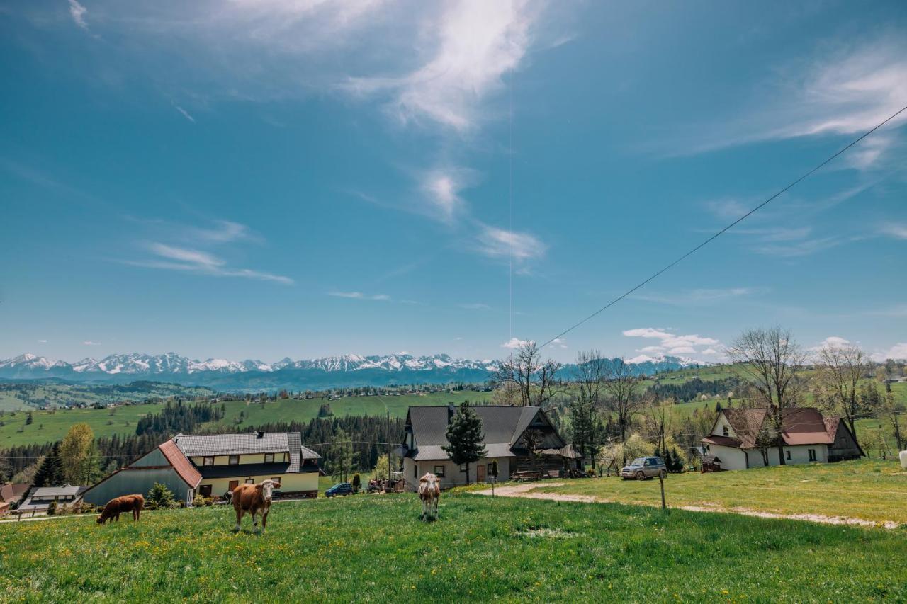 Apartamenty U Semlow Szaflary Kültér fotó